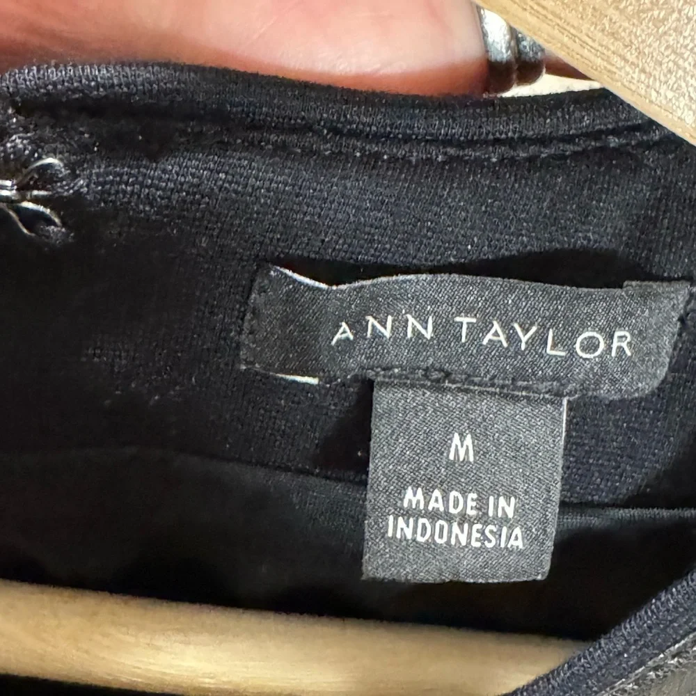 Ann Taylor Elegant Black Dress - Picture 3 of 4